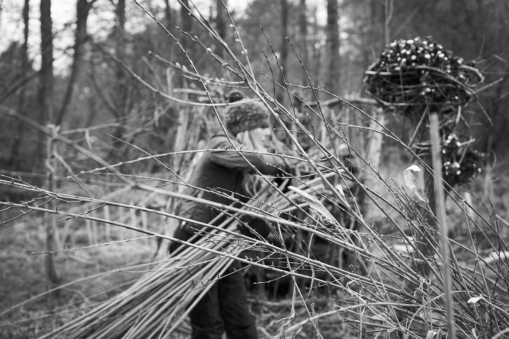 English basket maker cutting willow