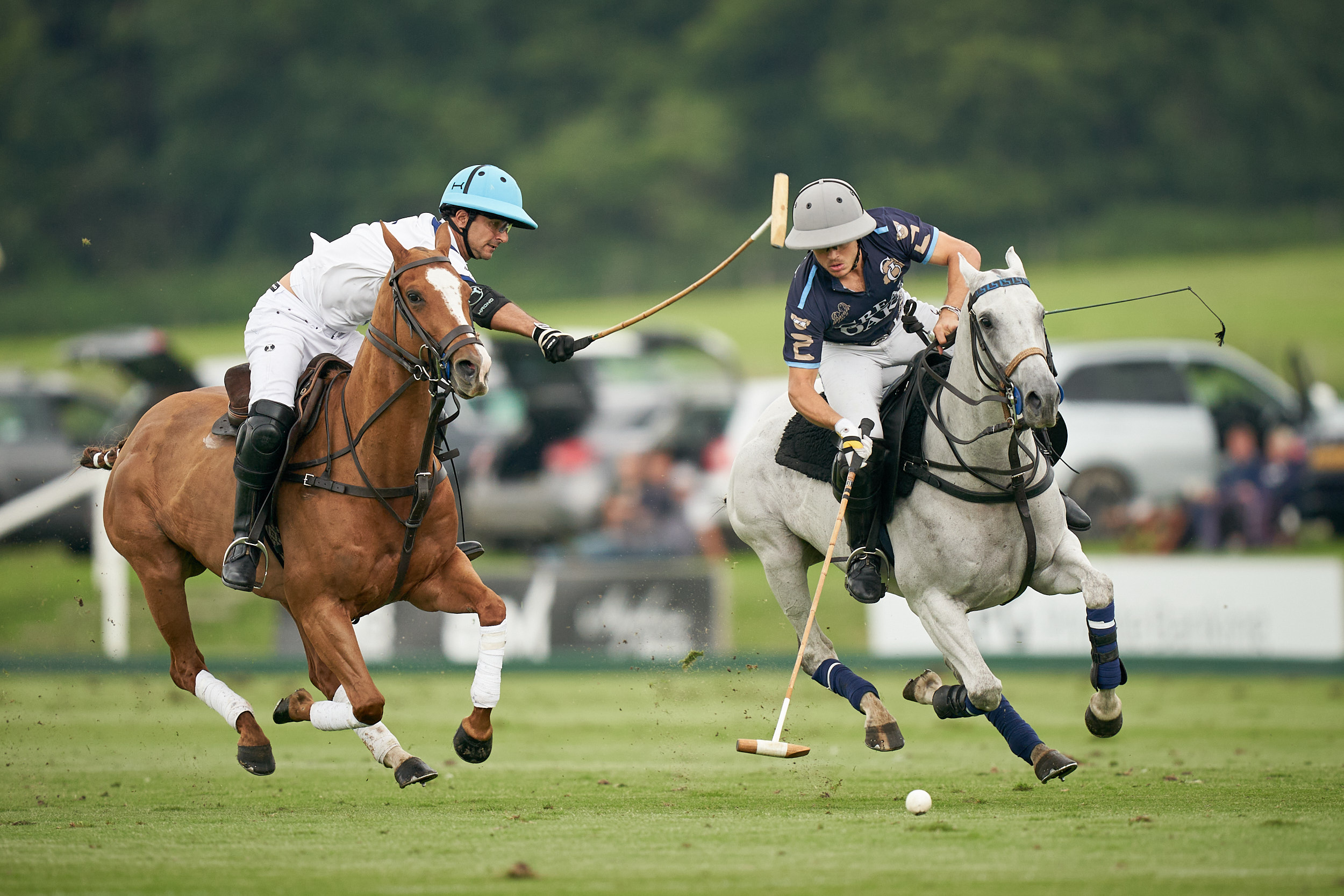 Polo Gold Cup
